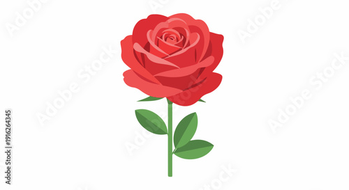 A vibrant red rose with green leaves on a stem against a clean white background.