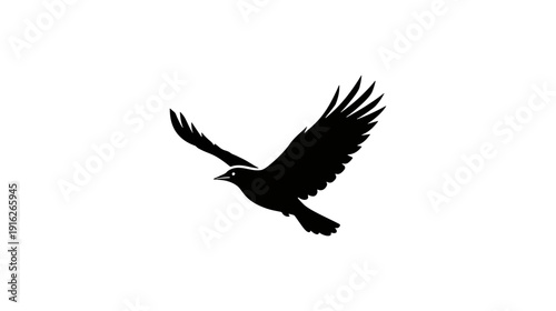 Black silhouette of a bird in flight flying free