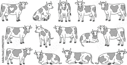 Cow illustration set vector, farm animal collection, dairy cattle characters standing sitting, livestock drawing isolated agricultural design