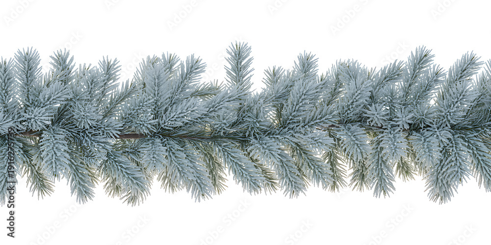 Obraz premium A rich garland of frosty pine branches stretches across a white background, evoking a cold winter holiday spirit.