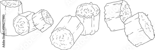 Vector line illustration of fresh cut sugarcane pieces, juicy sugar cane stalks slices showing fibrous sweet interior, tropical street food snack, natural raw cane sugar, exotic refreshment