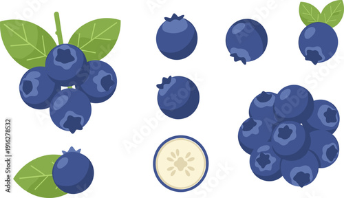 Blueberry Vector Icon Set with Fresh Ripe Berry Bunch Leaves and Cross Section for Organic Healthy Food Design
