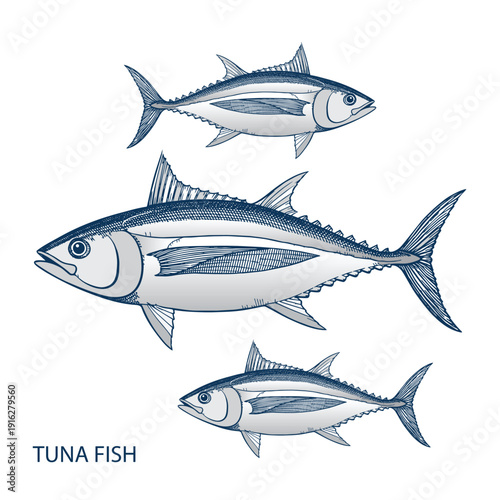 Seamless tuna fish pattern with white line art illustrations over blue and turquoise wavy ocean background. Modern minimal seafood vector design ideal for packaging, food branding, wrapping paper, tex