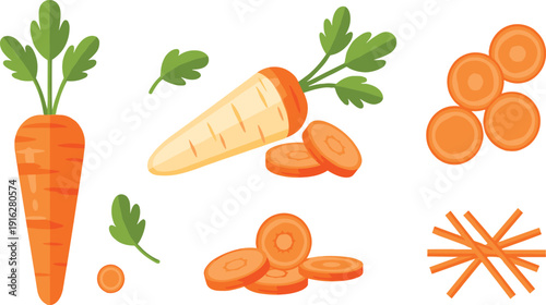 Carrot Vegetable Set with Whole Root Slices and Julienne Cuts Fresh Organic Healthy Cooking Ingredient Vector Illustration