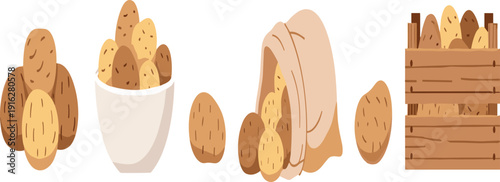 Potato Collection with Sack Wooden Crate Bowl and Whole Raw Tubers Farm Fresh Organic Vegetable Food Vector Illustration Set