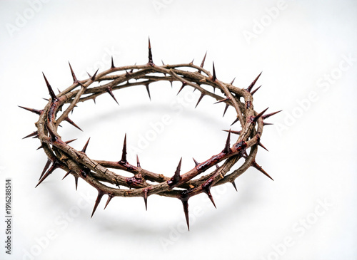 crown of thorns with visible traces of dried blood on white 