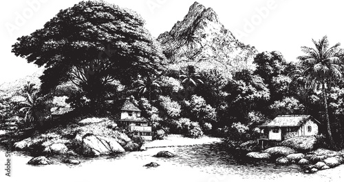 Vector illustration of palm trees on the Seychelles coast