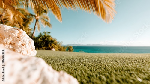 A stunning view of a tropical paradise featuring palm trees, a clear sky, and the ocean in the background, perfect for evoking relaxation and serenity.
