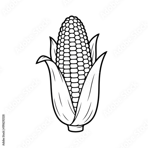 Simple Corn on the Cob Outline Illustration of Colouring Page 