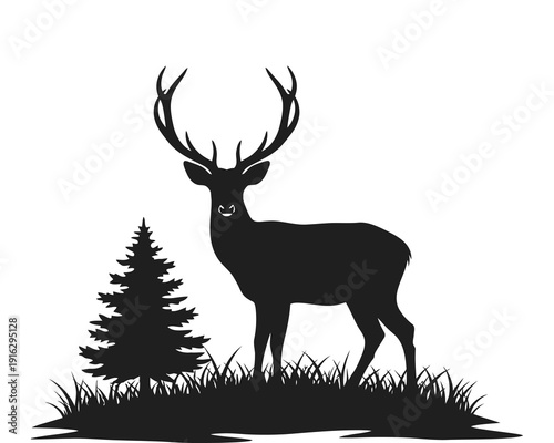 Majestic buck deer with antlers by a pine tree