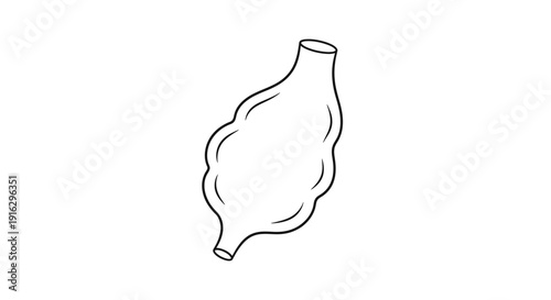 Stylized Stomach Outline, Digestive System Organ, Medical Illustration