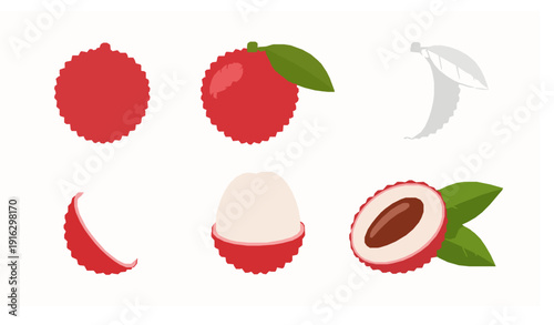 Lychee flat vector illustration tropical fruit set isolated on white