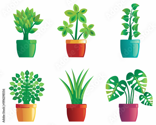 Colorful potted plants arranged in a grid featuring diverse foliage