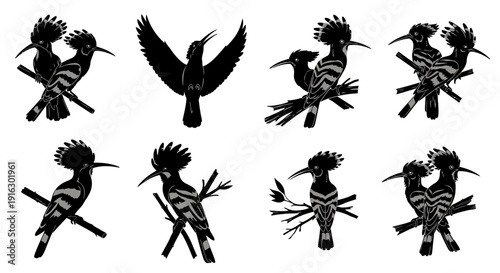 Eight black and white humpbacked bird silhouettes perched on branches in various poses