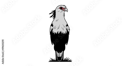 Majestic white and black eagle standing on grass with red eye and yellow beak looking right illustration