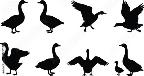 Goose silhouette set, flying and standing waterfowl bird poses vector illustration isolated on white background for design