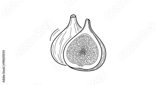 Hand-drawn illustration of a whole fig and a halved fig showing seeds and pulp