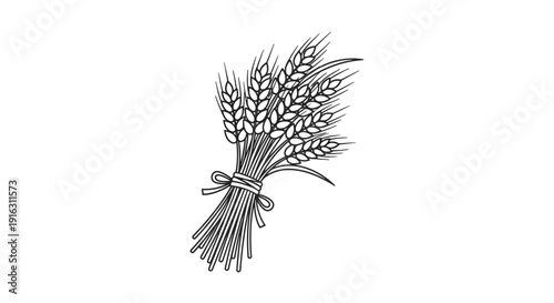 Hand-drawn illustration of a wheat sheaf tied with a ribbon, symbolizing harvest and agriculture.