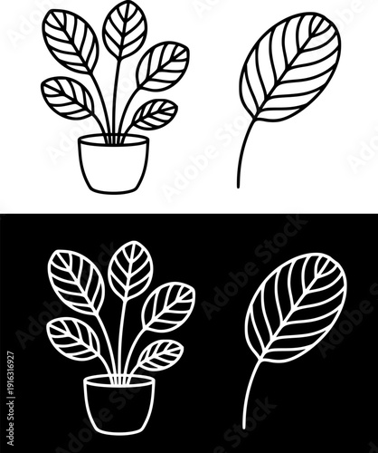 Plant icon, vector illustration of maranta, black and white with outline design, in original and negative versions