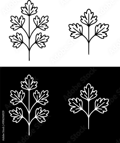 Plant icon, vector illustration of parsley, black and white with outline design, in original and negative versions
