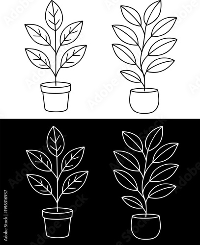 Plant icon, vector illustration of ficus, black and white with outline design, in original and negative versions