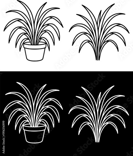 Plant icon, vector illustration of spider plant, black and white with outline design, in original and negative versions