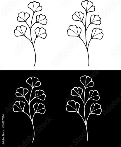 Plant icon, maidenhair vector illustration, black and white with outline design, in original and negative versions