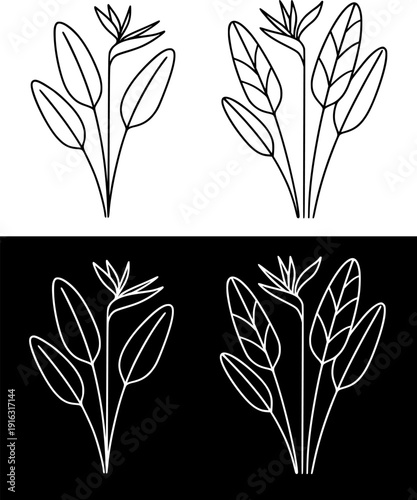 Plant icon, vector illustration of bird of paradise, black and white with outline design, in original and negative versions