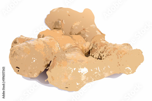 A close up illustration of a small irregularly shaped piece of truffle