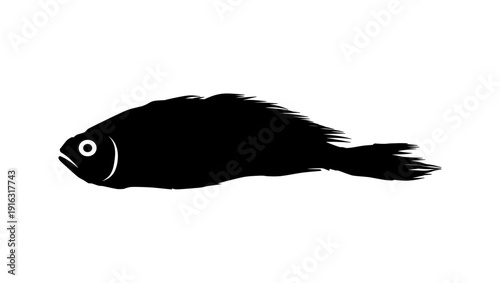 Yellow Croaker Fish,b lack isolated silhouette