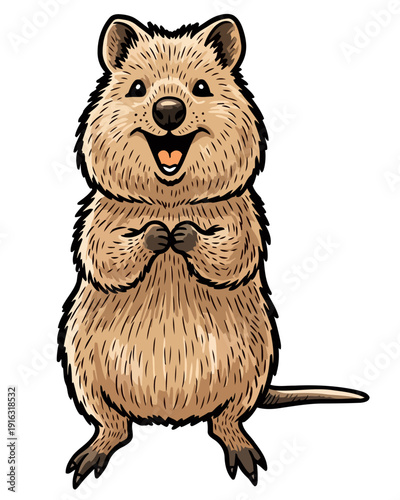 Quokka stands on hind legs in Australia facing forward illustration
