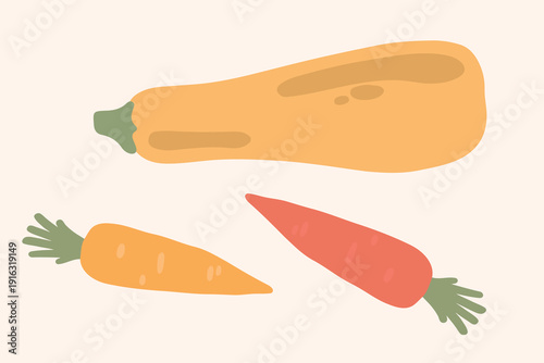 Art & Illustration Flat Vector Carrot and Zucchini Illustration Fresh Organic Vegetables Design