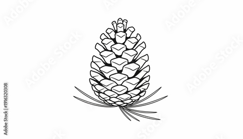 Pine Cone Illustration: Detailed Black and White Drawing of a Single Pinecone with Needles on White Background