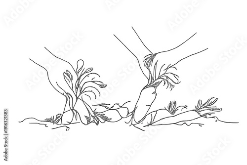 Minimalist Harvest Scene . " Mild Winter Harvest " . Minimalistic one line drawing hands collecting vegetables