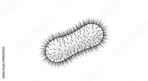 Microscopic view of a rod-shaped bacterium with flagella, isolated on white background.