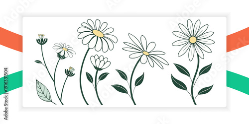 Camomile icon set. White daisy chamomile. Cute round flower plant collection.. Daisy Flower Icon Set Flat Vector Spring Floral Collection Isolated on Green Background.