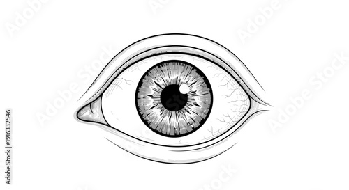Close-up black and white drawing of a human eye, detailed iris and pupil, realistic sketch
