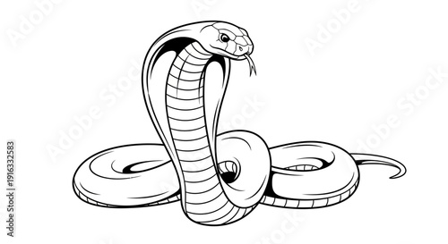 Cobra Snake Illustration - Aggressive Pose, Hooded Reptile, Black and White Line Art
