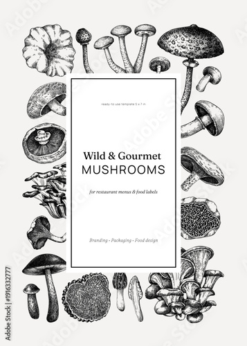 Gourmet and culinary mushrooms hand drawn vector illustration. Wild fungi sketches for restaurant menu design and healthy food products.  NOT AI generated