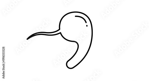 Simple Outline Icon of a Sperm Cell