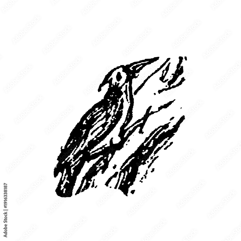 Fototapeta premium Woodpecker, bird perched on a tree trunk, detailed vintage illustration showcasing bold lines, beak, and feather patterns, old vintage illustration, 1897.
