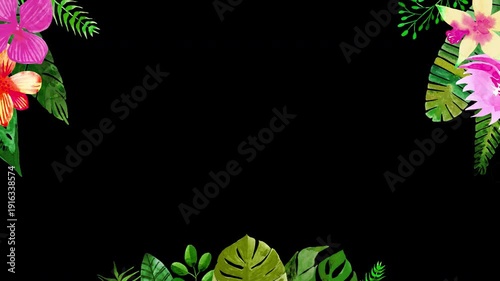 Tropical Summer Flowers Plants Border Frame Animation Loop Alpha Channel