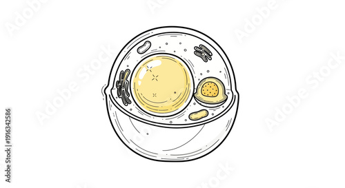 Hand-drawn illustration of a bowl of ramen with egg and toppings