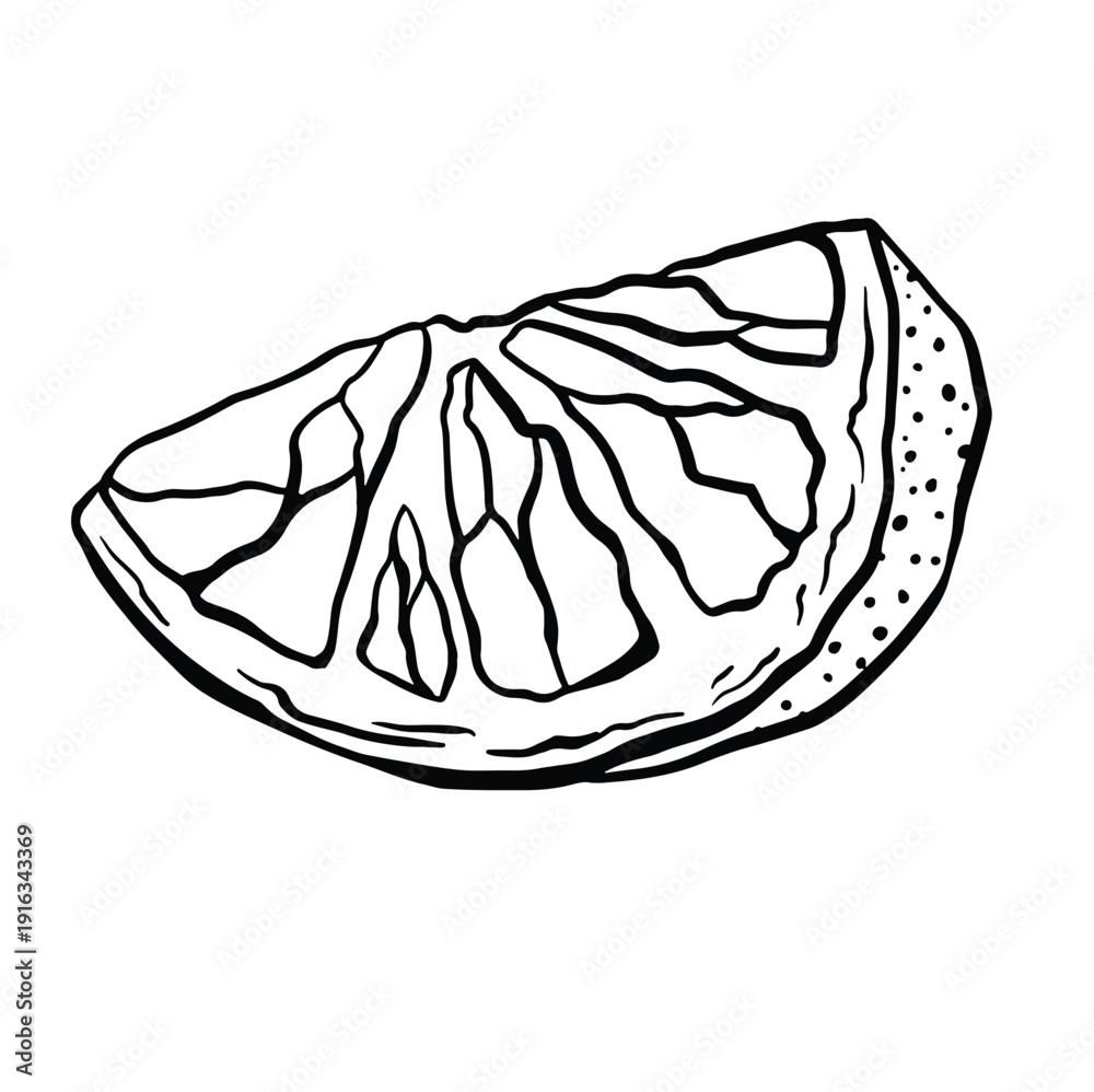 Fototapeta premium Lemon slice sketch style monochrome vector illustration