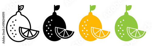 Citrus fruit icons pack. vector illustrations designs