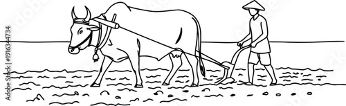 Traditional farming scene with oxen and farmer