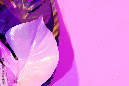 Neon tropical monstera leav...