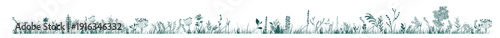 Silhouette of grass horizon. Border, meadow springtime, Hand drawn. Not AI, vector illustration