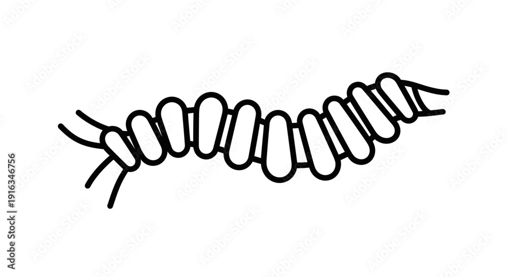 Obraz premium Abstract Black and White Wavy Line Art Illustration of a Segmented Worm or Caterpillar