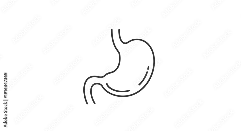 Fototapeta premium Simple Line Art Icon of Human Stomach, Medical and Healthcare Symbol